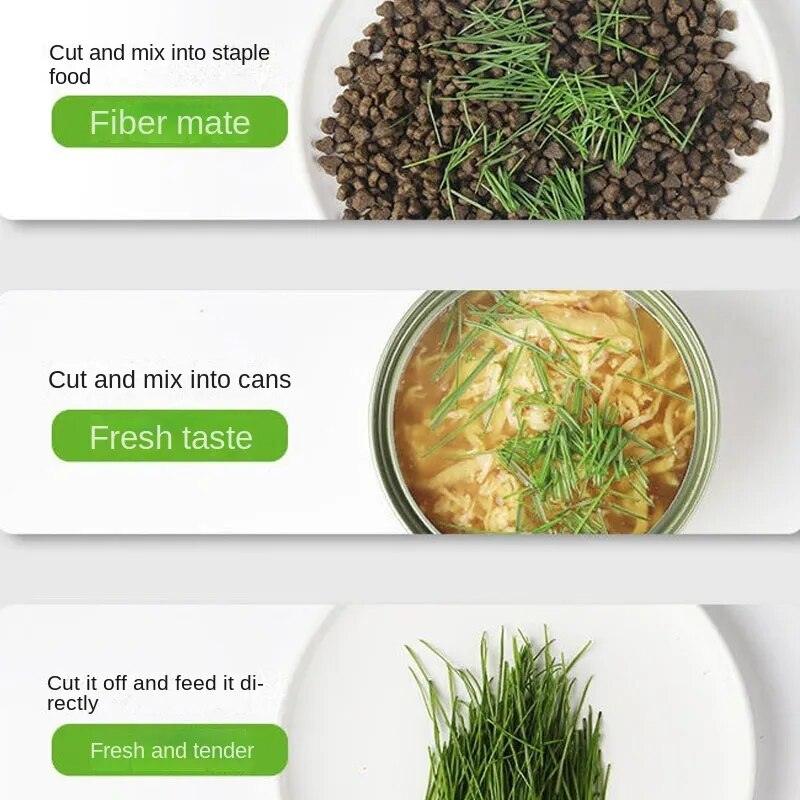 Cat Snack Mint Planting Hydroponic Plastic Box Cat Pot Contrast Hydroponic Det Cat Grass Plant Bowl without seed Garden Supply - Lily Depot