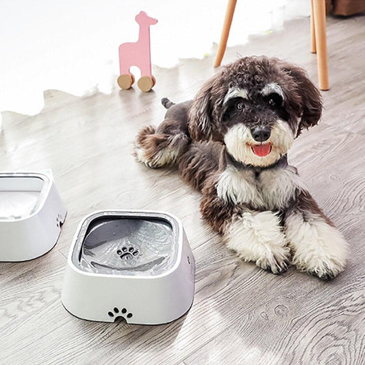 1500ml Portable Dog Water Bowl For Small Big Dogs Pet Drinker Water Floating Non-Wetting Mouth Cat Bowl Plastic Dog Supplies - Lily Depot