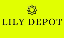 Lily Depot